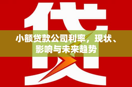 广汉小额贷款公司利率，现状、影响与未来趋势
