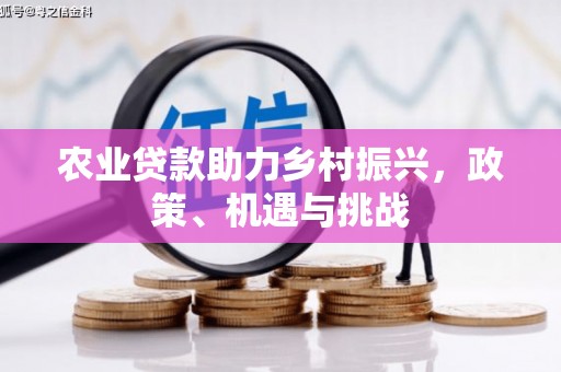 广汉农业贷款助力乡村振兴，政策、机遇与挑战