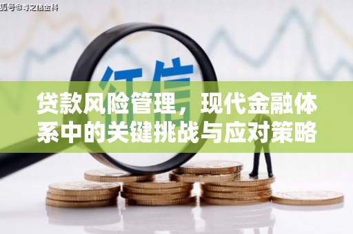 广汉贷款风险管理，现代金融体系中的关键挑战与应对策略