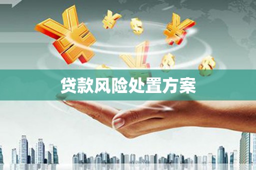 广汉贷款风险处置方案
