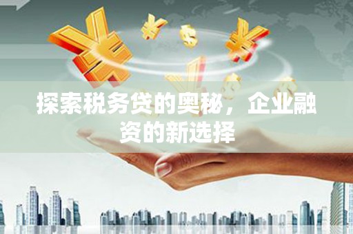 广汉探索税务贷的奥秘，企业融资的新选择