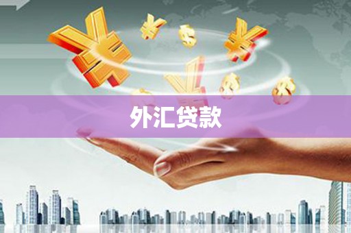 广汉外汇贷款
