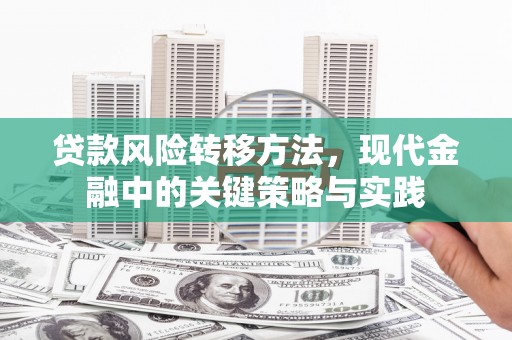 广汉贷款风险转移方法，现代金融中的关键策略与实践