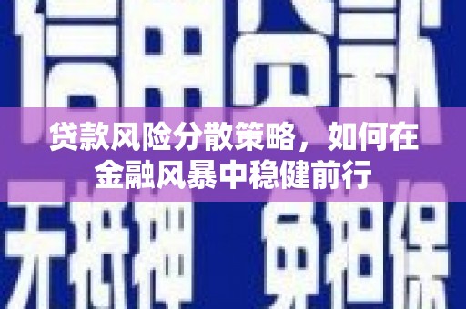 广汉贷款风险分散策略，如何在金融风暴中稳健前行