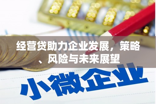 广汉经营贷助力企业发展，策略、风险与未来展望