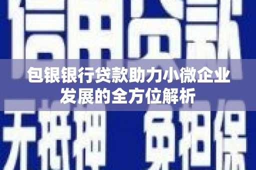 广汉包银银行贷款助力小微企业发展的全方位解析 广汉包银银行贷款助力小微企业发展的全方位解析