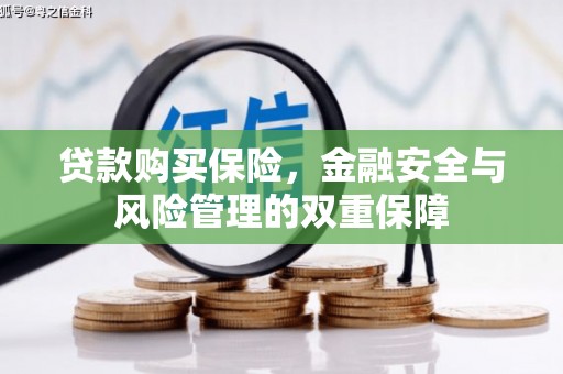 广汉贷款购买保险，金融安全与风险管理的双重保障