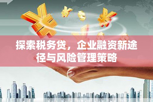 广汉探索税务贷，企业融资新途径与风险管理策略