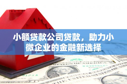 广汉小额贷款公司贷款，助力小微企业的金融新选择