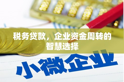 广汉税务贷款，企业资金周转的智慧选择