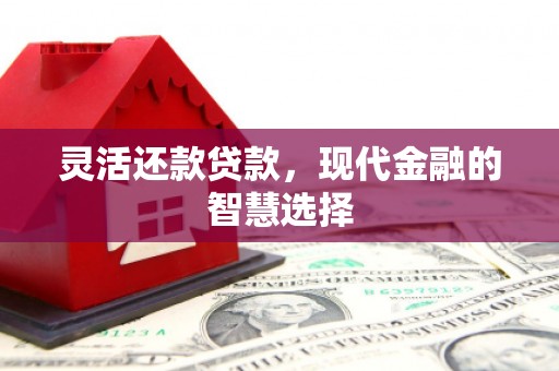 广汉灵活还款贷款，现代金融的智慧选择