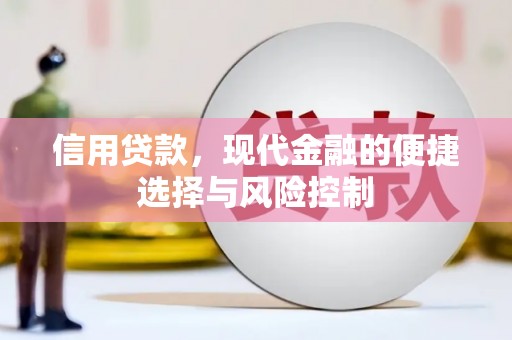 广汉信用贷款，现代金融的便捷选择与风险控制