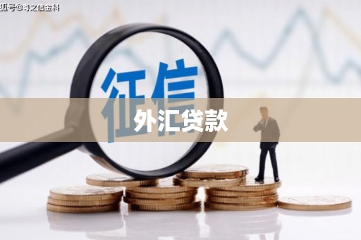 广汉外汇贷款