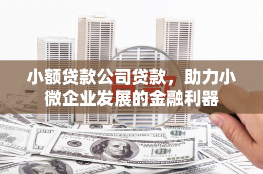 广汉小额贷款公司贷款，助力小微企业发展的金融利器
