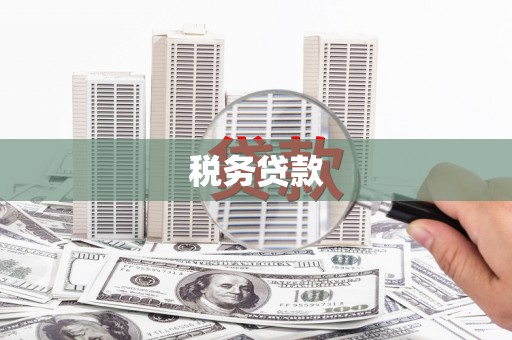 广汉税务贷款