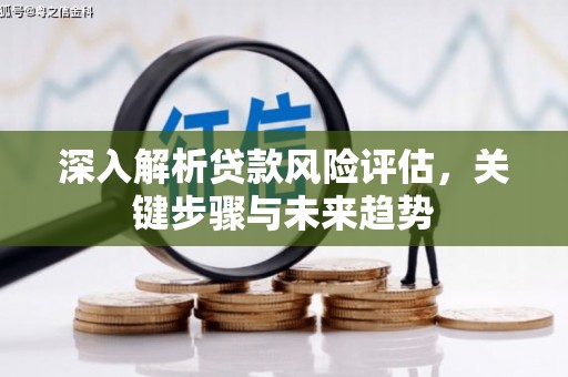 广汉深入解析贷款风险评估，关键步骤与未来趋势