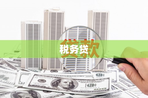 广汉税务贷