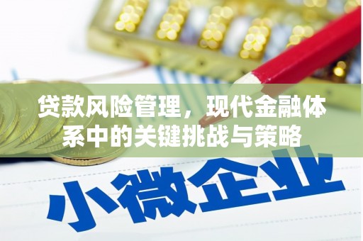 广汉贷款风险管理，现代金融体系中的关键挑战与策略