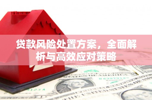 广汉贷款风险处置方案，全面解析与高效应对策略