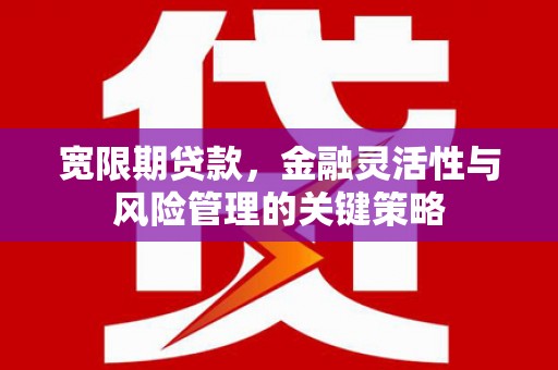 广汉宽限期贷款，金融灵活性与风险管理的关键策略