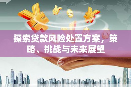 广汉探索贷款风险处置方案，策略、挑战与未来展望
