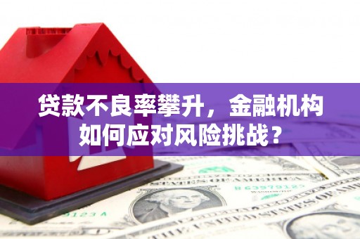 广汉贷款不良率攀升，金融机构如何应对风险挑战？