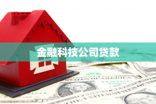 广汉金融科技公司贷款