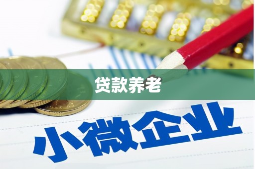 广汉贷款养老