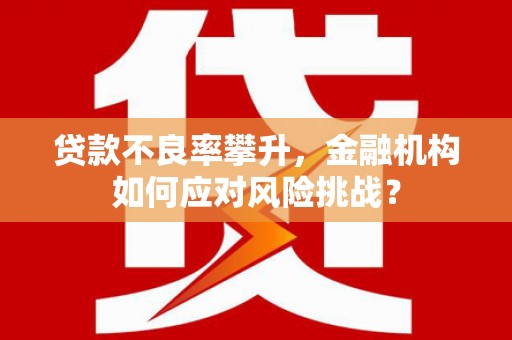 广汉贷款不良率攀升，金融机构如何应对风险挑战？