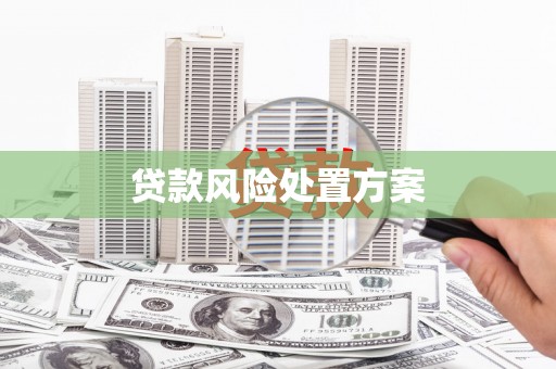 广汉贷款风险处置方案