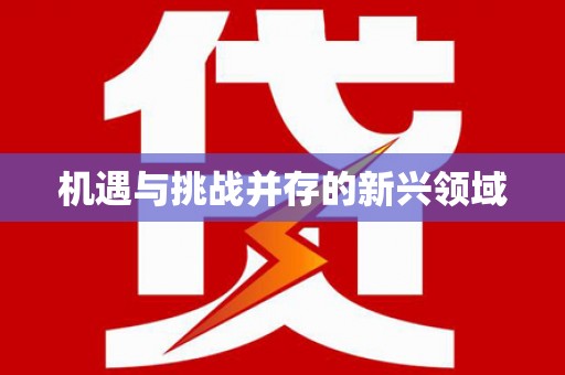 广汉机遇与挑战并存的新兴领域