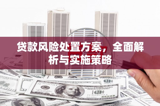 广汉贷款风险处置方案，全面解析与实施策略